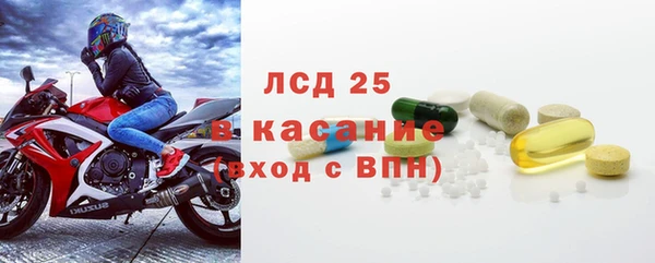 твердый Бородино