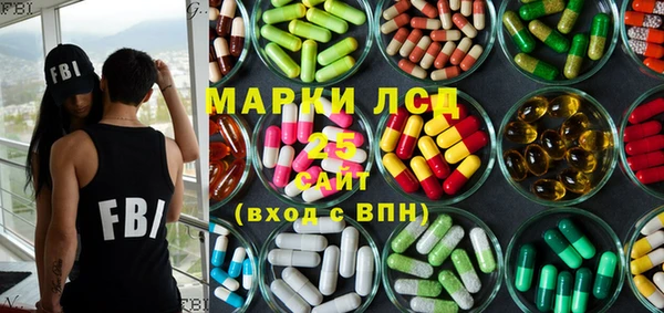 твердый Бородино