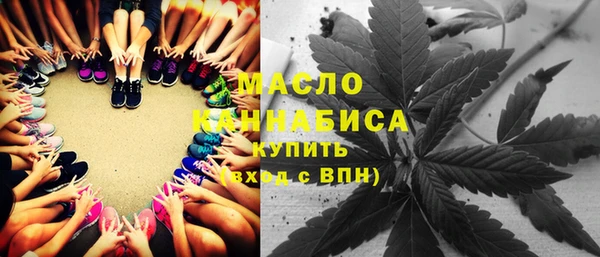 твердый Бородино