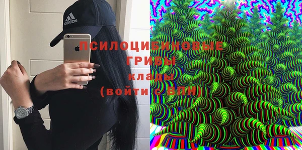 стаф Бугульма